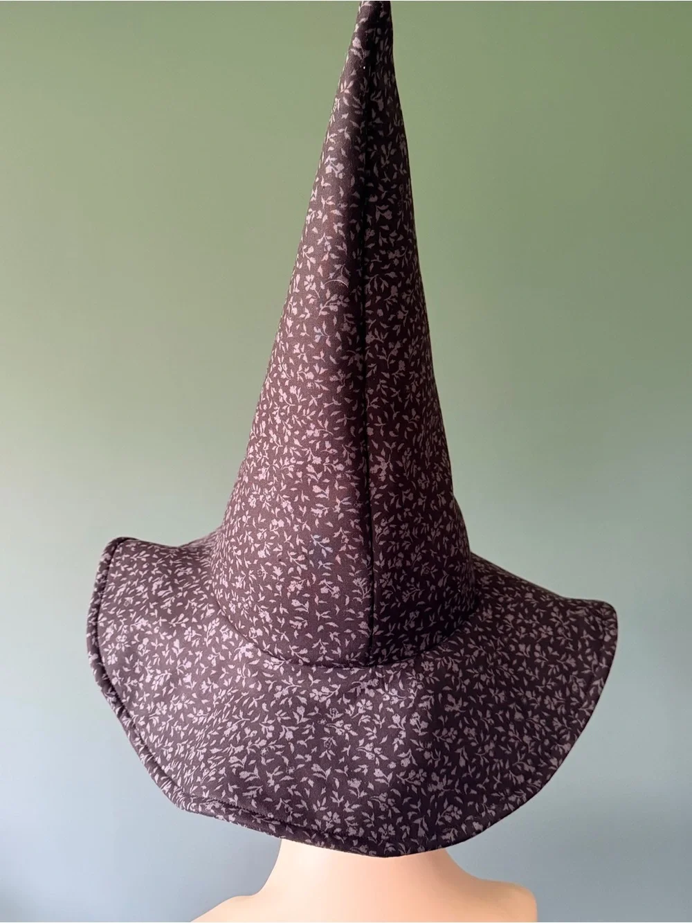 Halloween Magic/Witch Hat